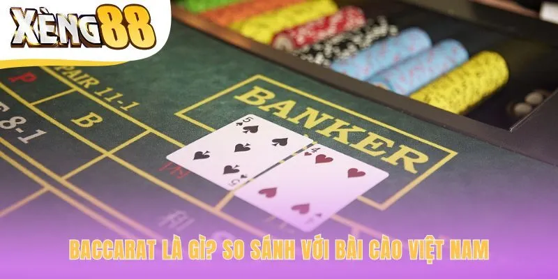 Baccarat khác biệt Bài Cào qua ba lựa chọn cược độc đáo