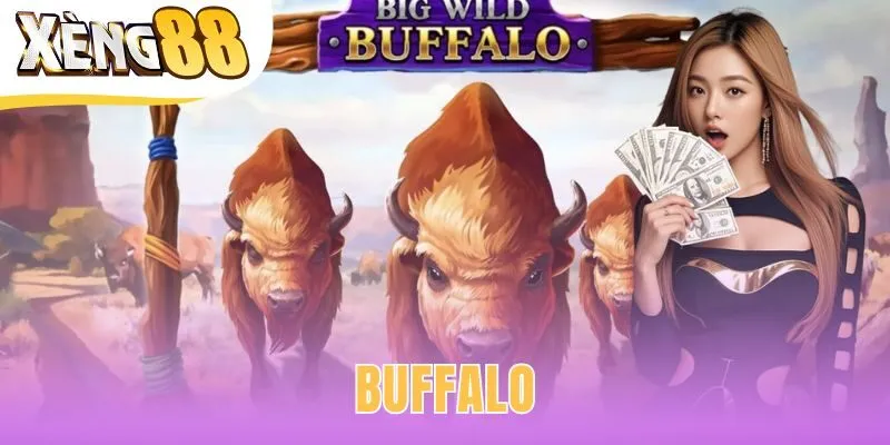 Buffalo