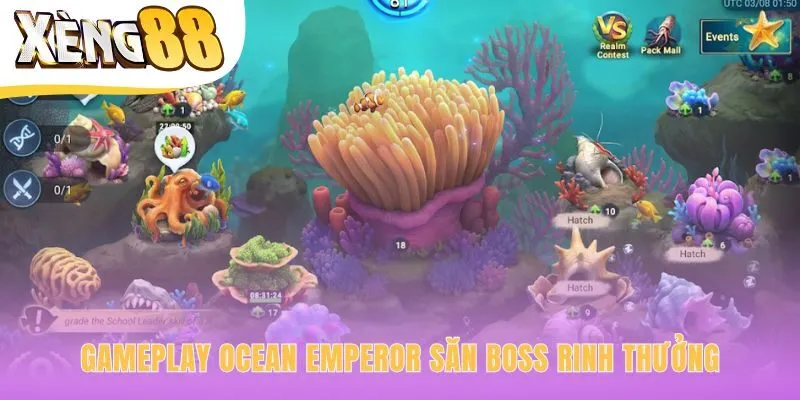 Săn boss và tận dụng các tính năng thưởng đặc biệt của game