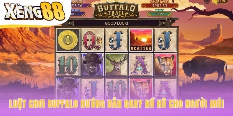 Hướng dẫn quay nổ hũ Buffalo đơn giản qua bốn bước cơ bản