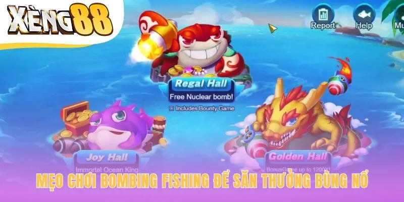 Mẹo chơi ứng dụng chiến thuật dùng bom và quản lý vốn hiệu quả